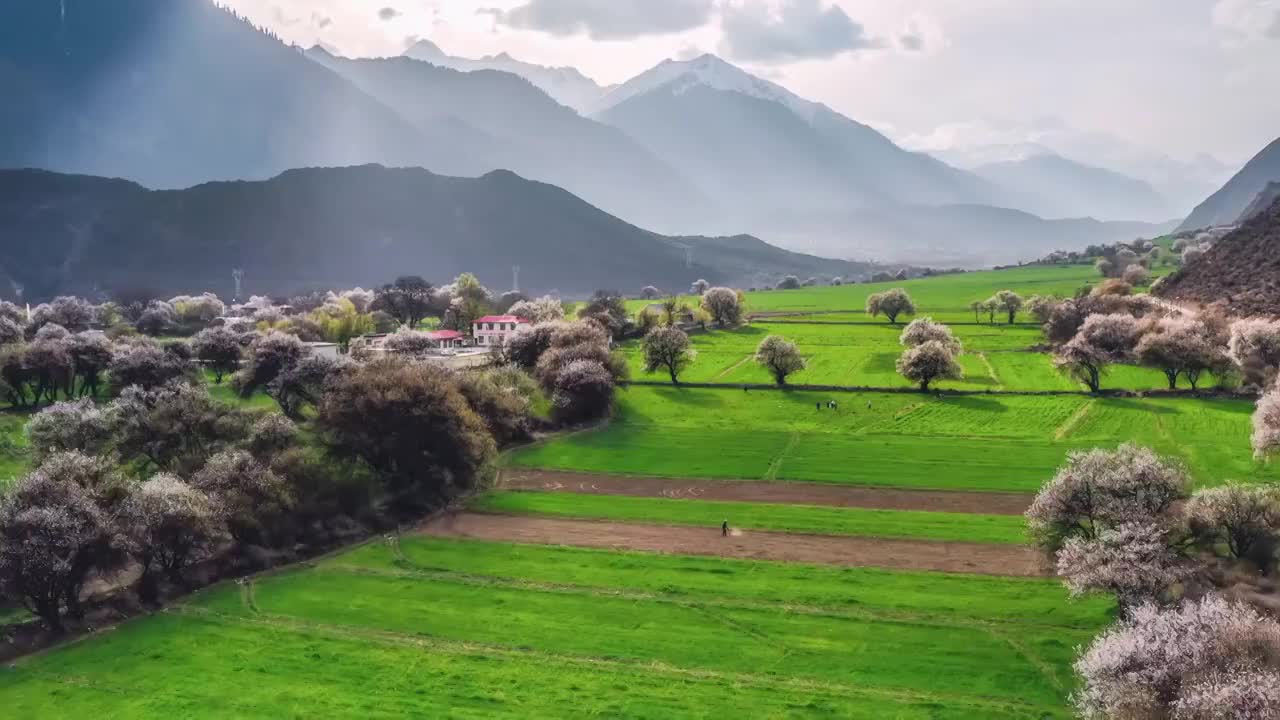 西藏林芝波密桃花沟风光视频素材