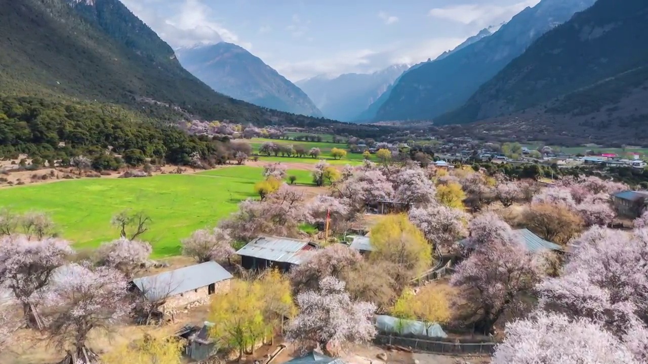 西藏林芝波密桃花沟风光视频素材