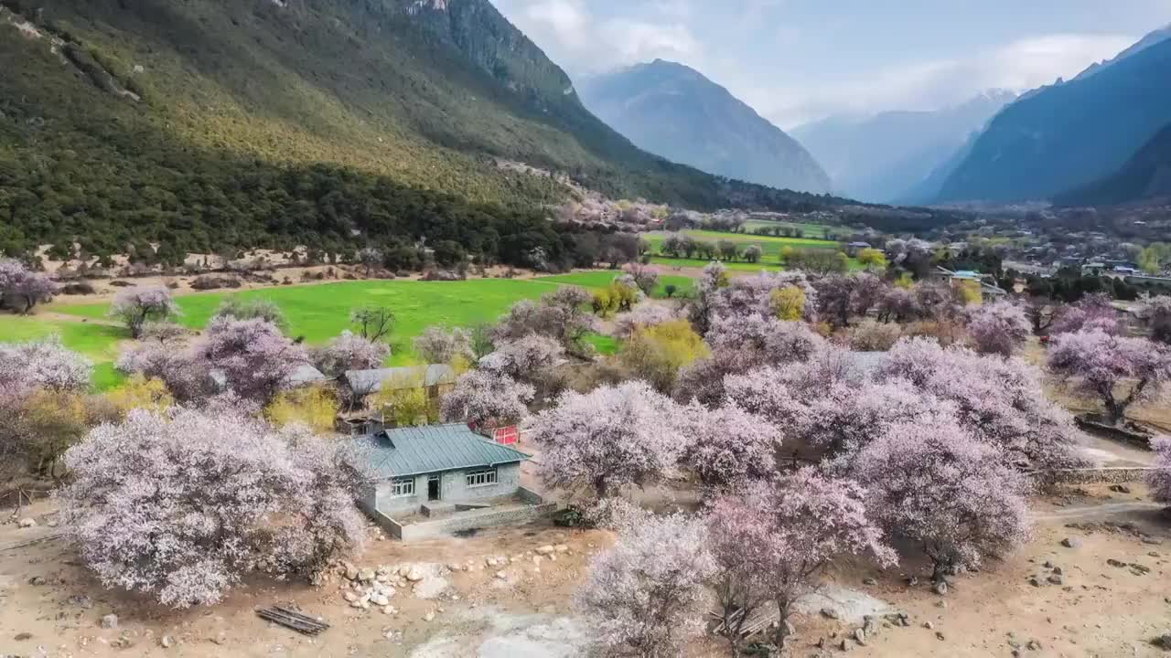 西藏林芝波密桃花沟风光视频素材