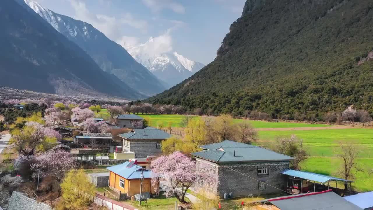 西藏林芝波密桃花沟风光视频素材