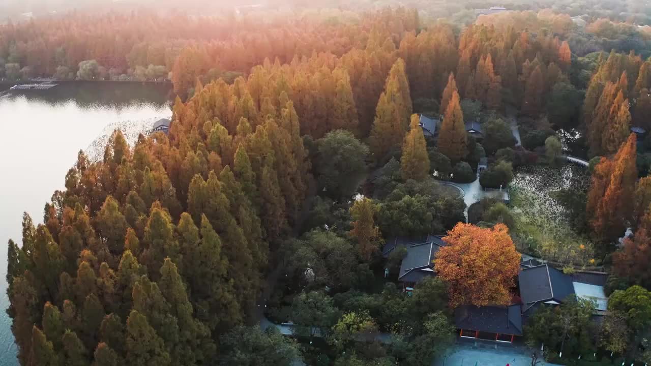 杭州西湖秋天风光4K航拍视频素材