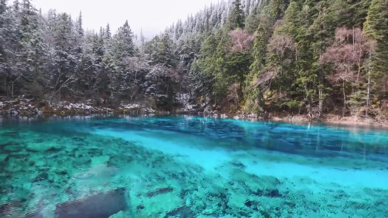 四川阿坝九寨沟秋色视频素材