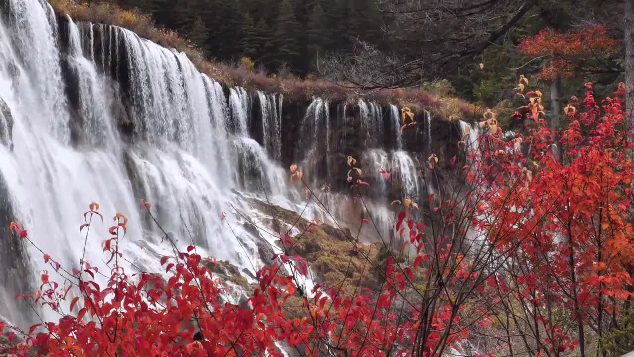 四川阿坝九寨沟秋色视频素材