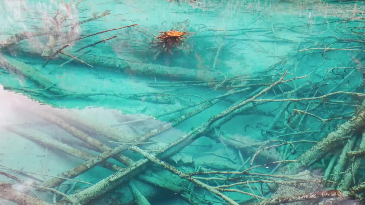 四川阿坝九寨沟秋色视频素材