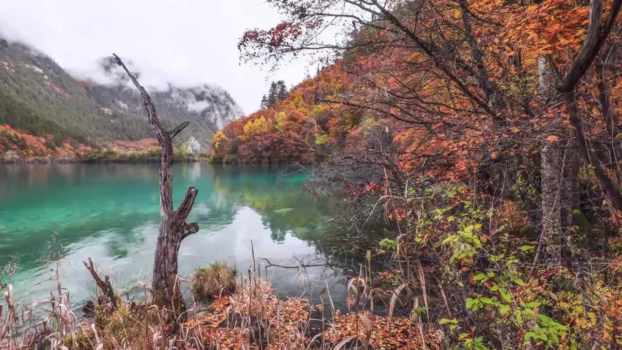 四川阿坝九寨沟秋色视频素材