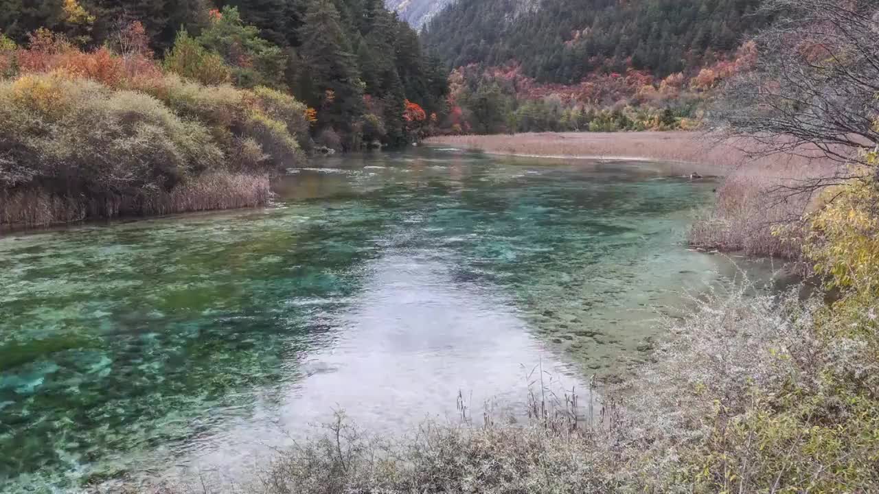 四川阿坝九寨沟秋色视频素材