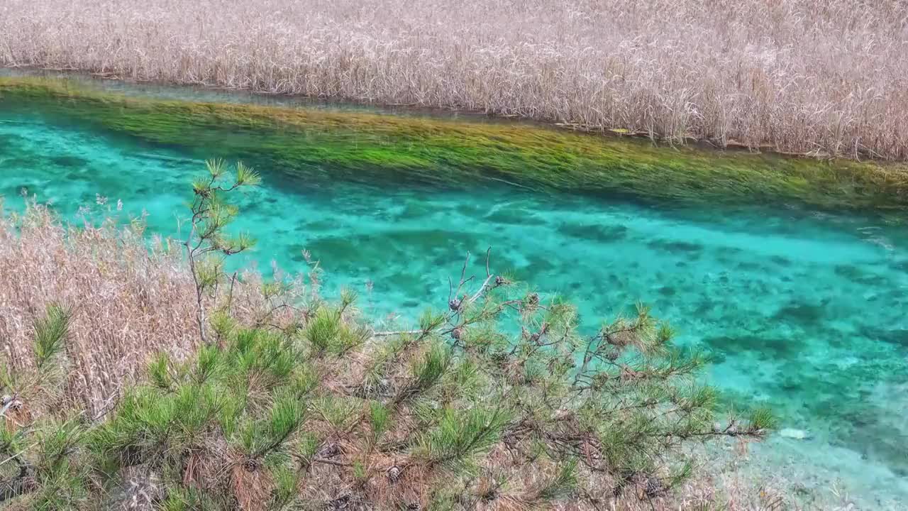 四川阿坝九寨沟秋色视频素材