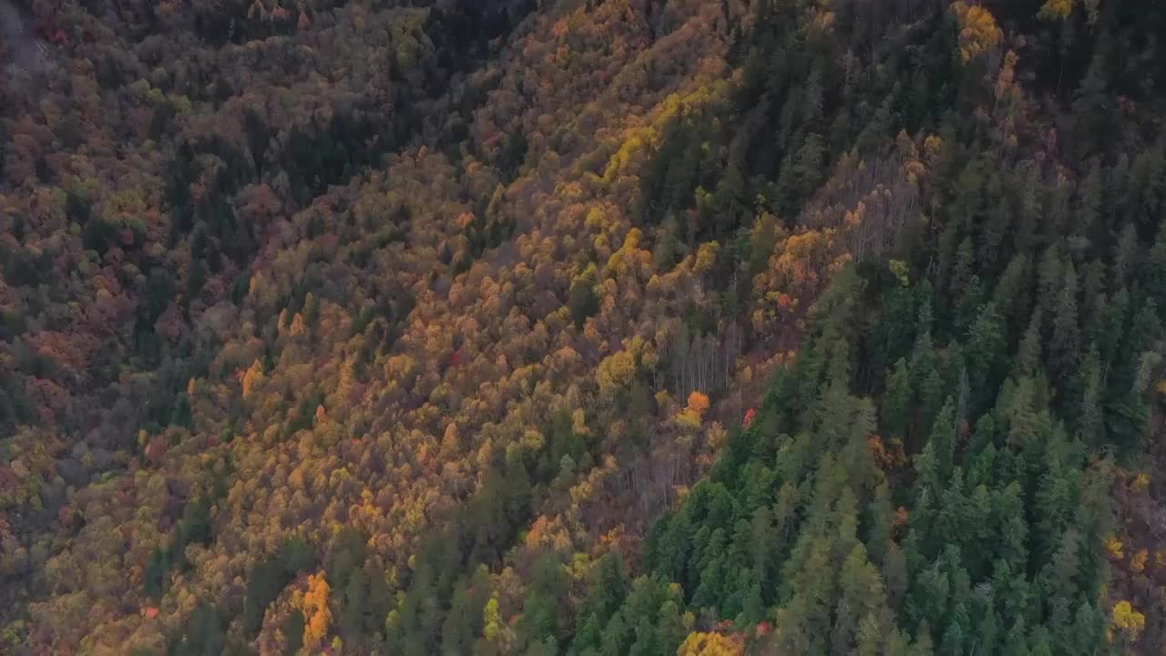 四川阿坝九寨沟秋色视频素材