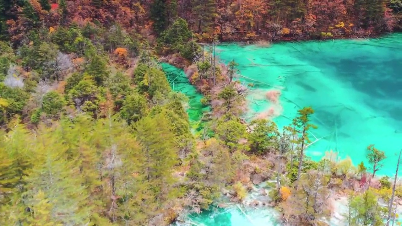 四川阿坝九寨沟秋色视频素材