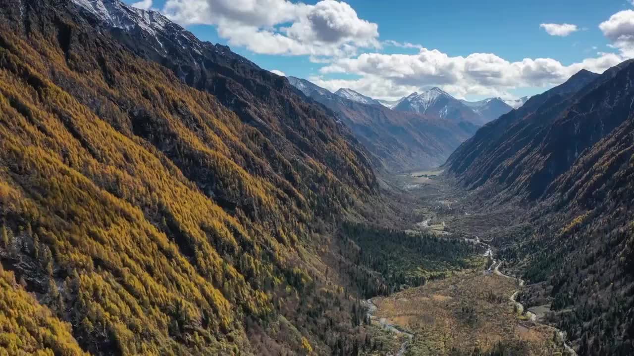 川西阿坝四姑娘山双桥沟秋色视频素材