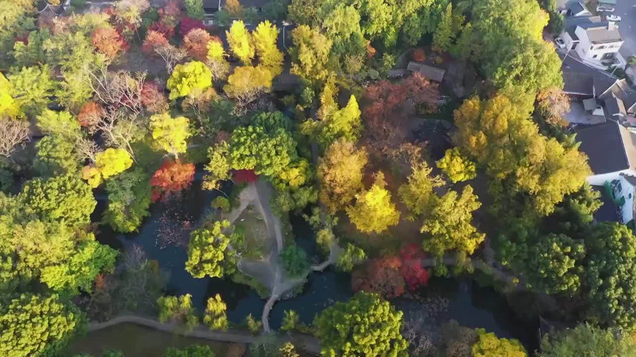 江苏苏州园林拙政园秋季航拍视频素材