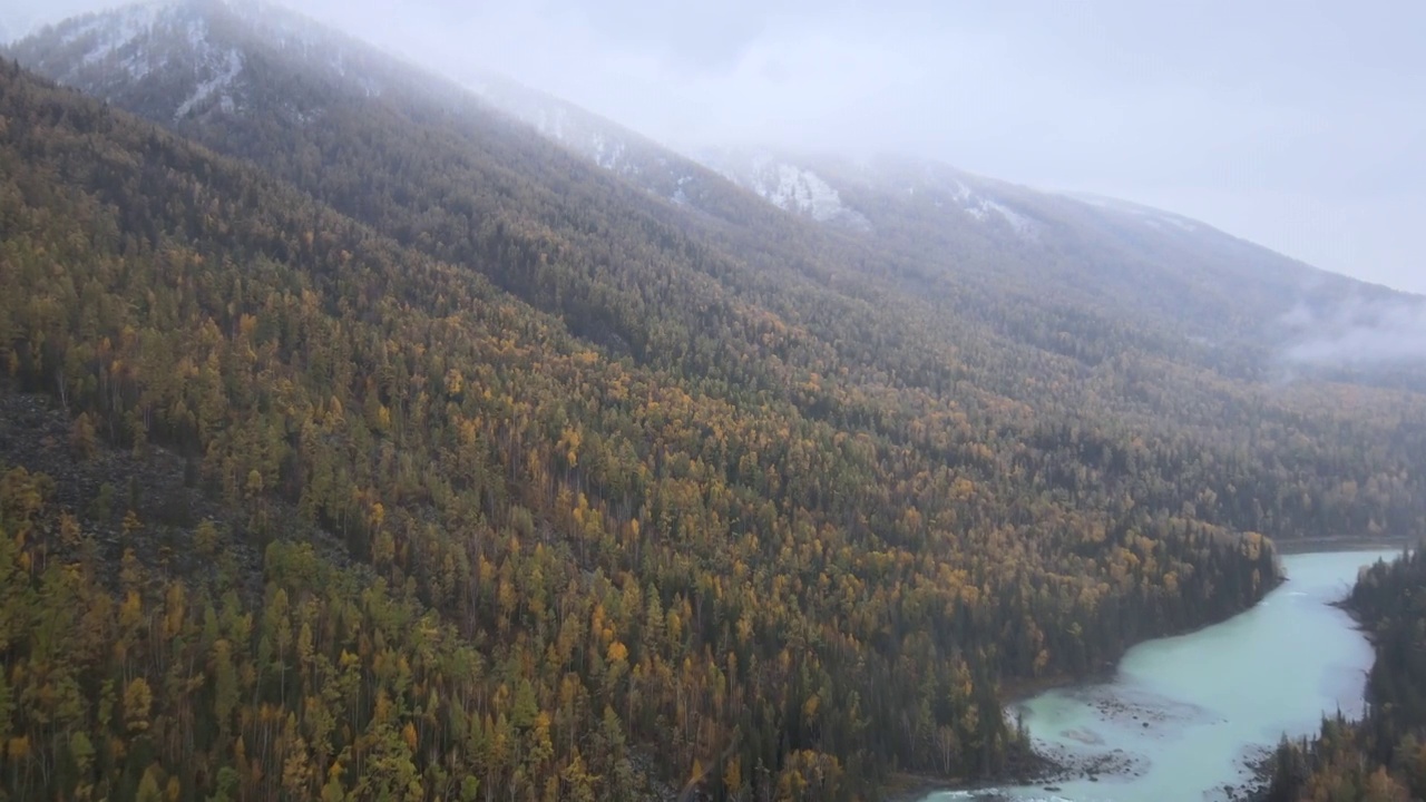 新疆阿勒泰布尔津县喀纳斯景区卧龙湾晨雾秋景航拍视频素材