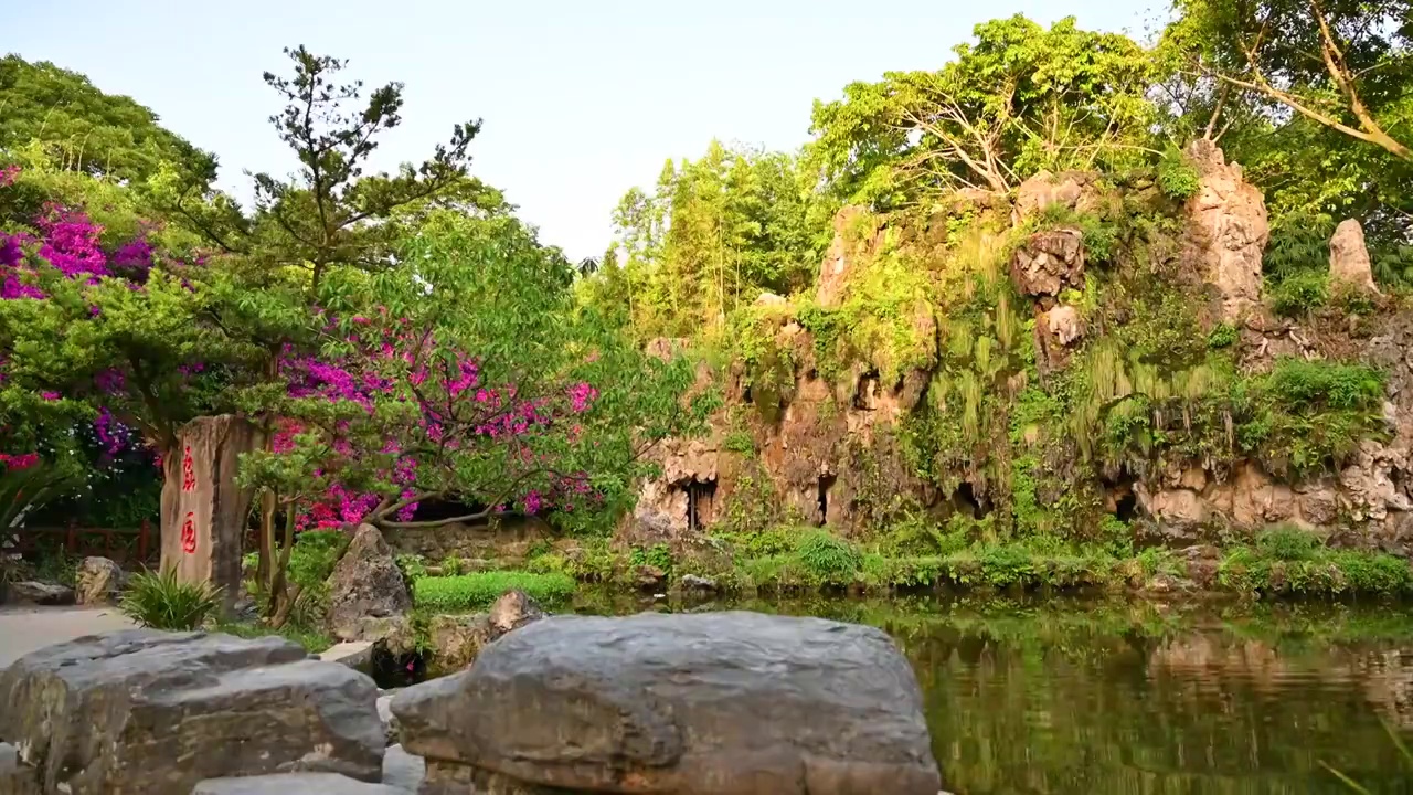 成都浣花溪景观摄影视频素材