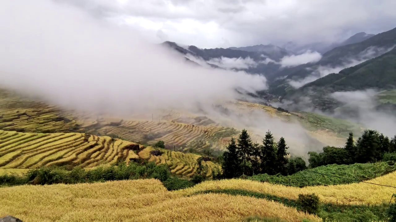 20211010龙脊梯田古壮寨雨后清晨3视频素材