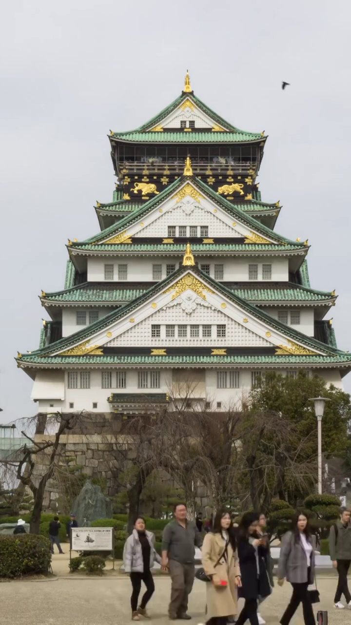 日本大阪城视频素材