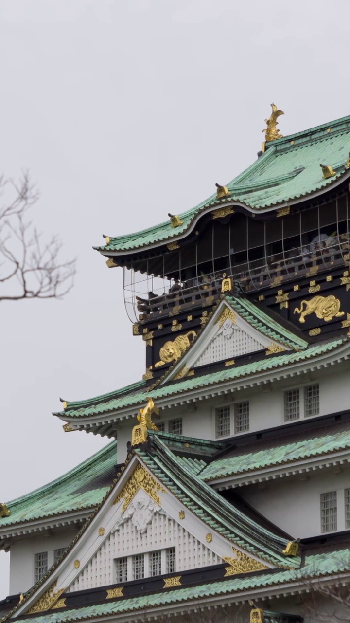 日本大阪城视频素材