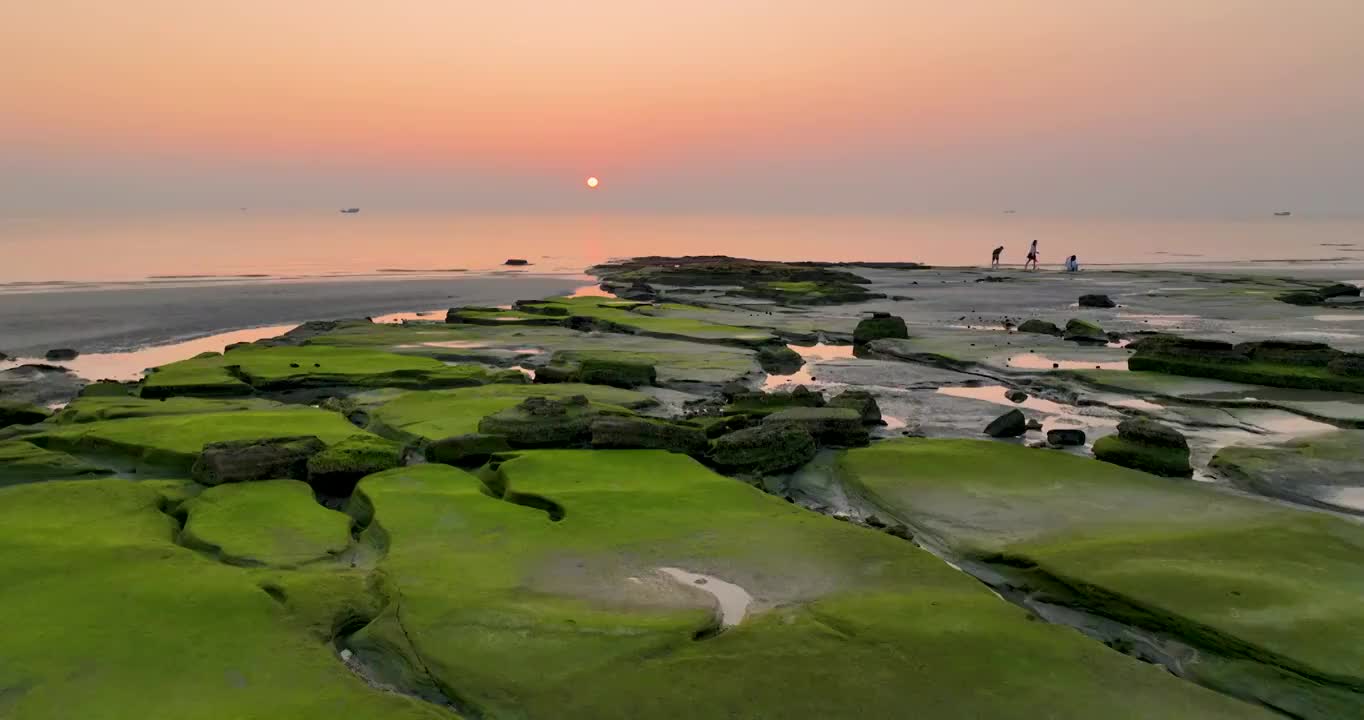 日落海边礁石苔藓视频素材