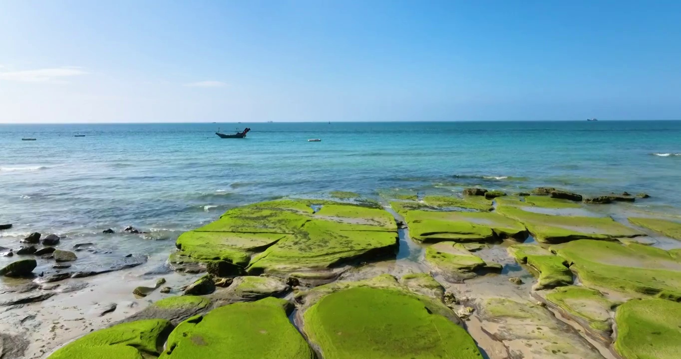 涠洲岛蓝天下的海滩礁石苔藓视频素材