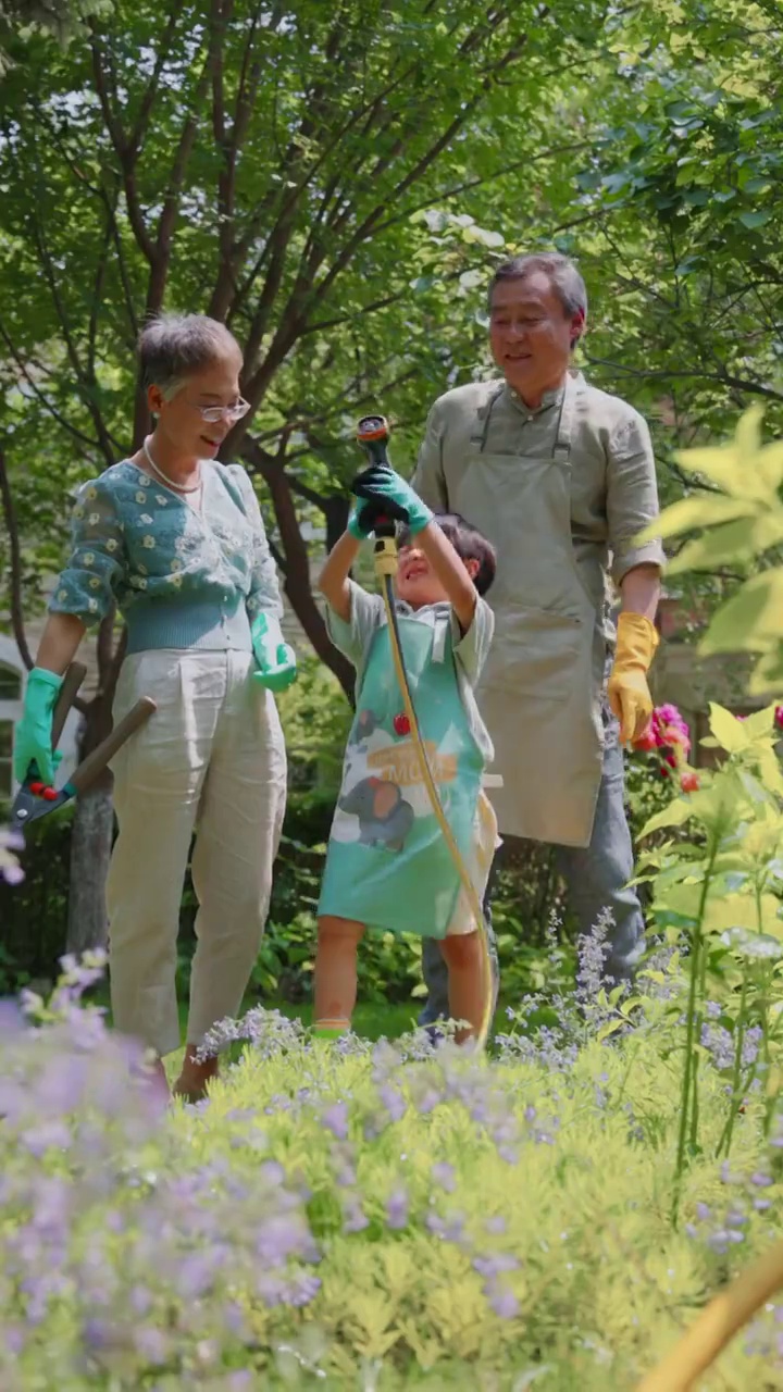 祖孙三人在院子里浇水视频购买