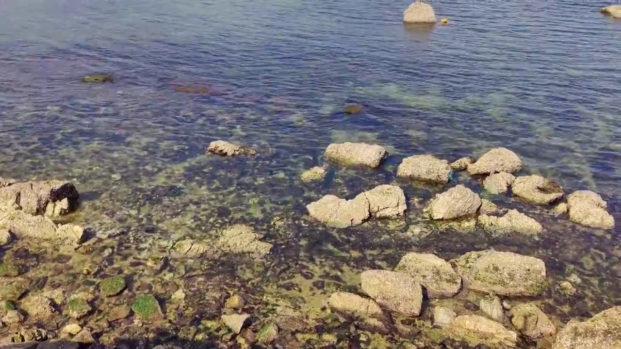 山东养马岛海岸清澈的海水视频素材