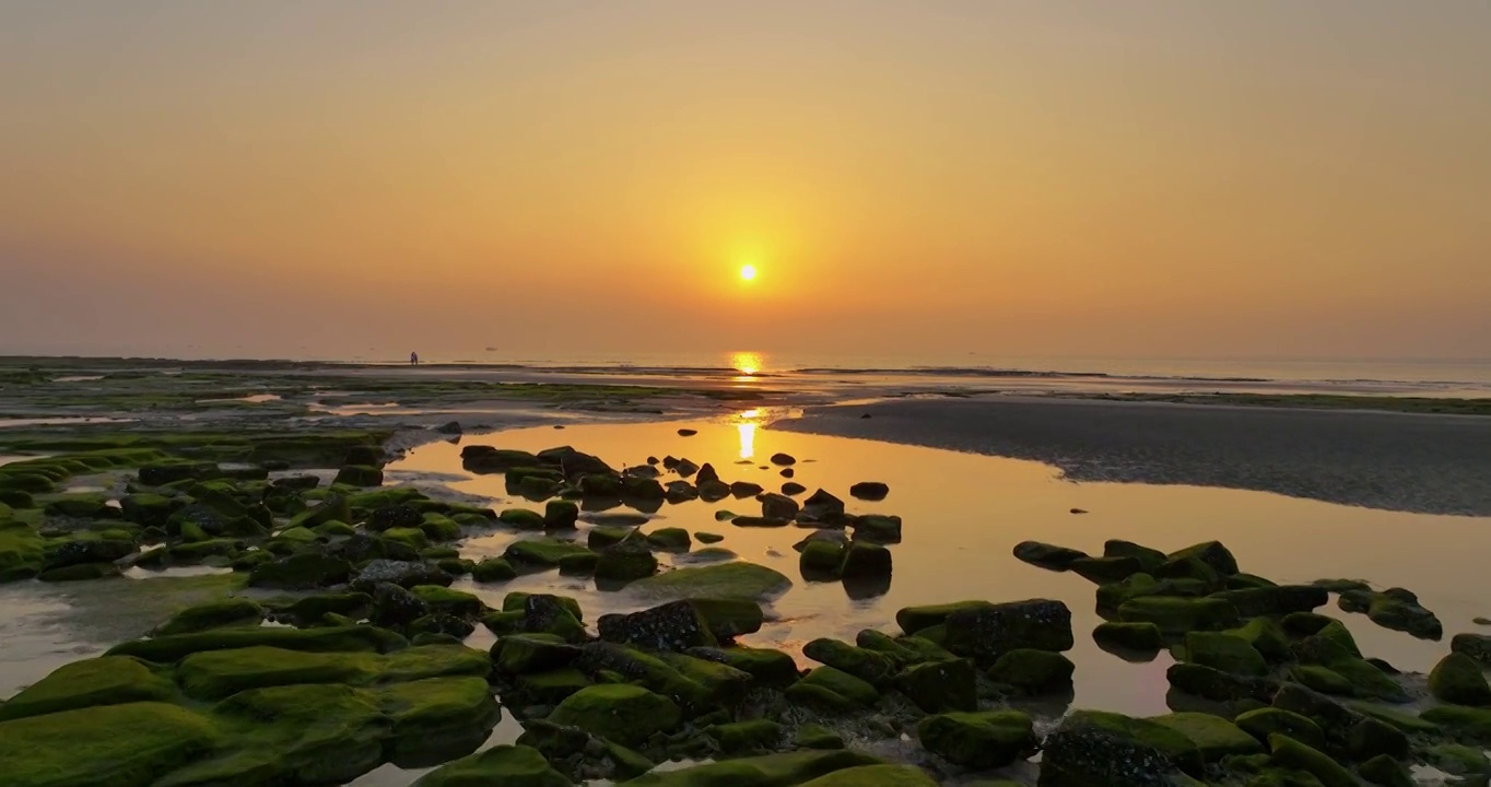 夕阳下海滩礁石苔藓纹理视频素材