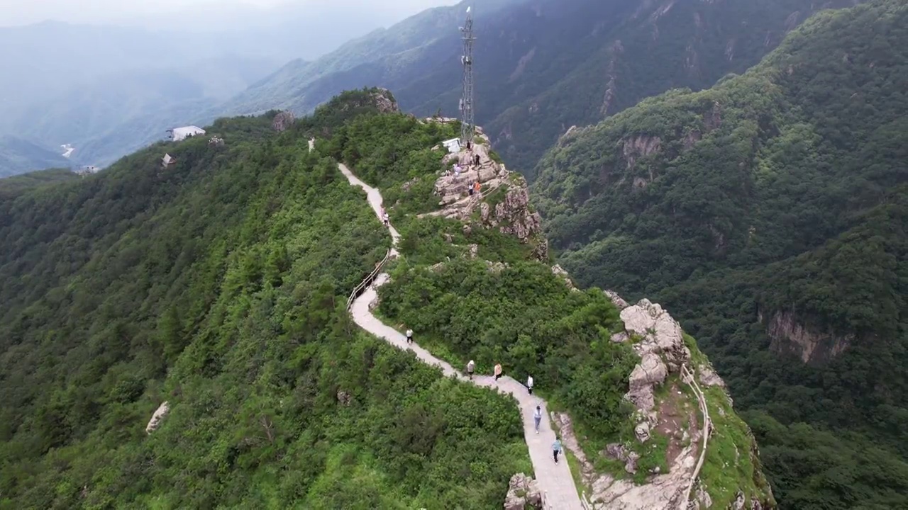 航拍陕西秦岭商洛牛背梁自然风景区视频素材