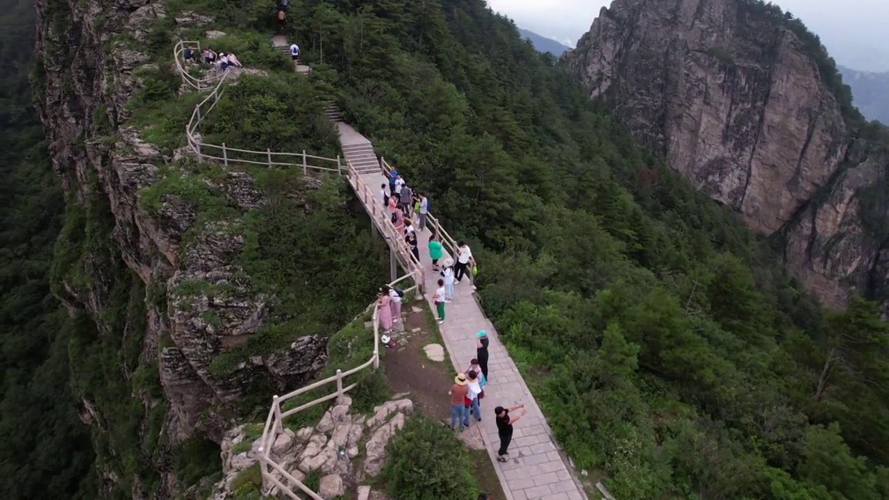 航拍陕西秦岭商洛牛背梁自然风景区视频素材