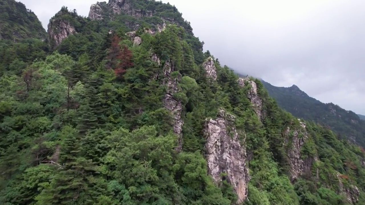 航拍陕西秦岭商洛牛背梁自然风景区视频素材