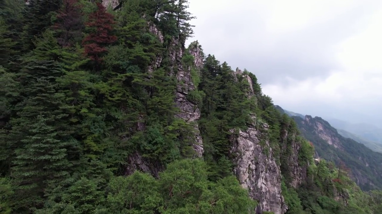 航拍陕西秦岭商洛牛背梁自然风景区视频素材