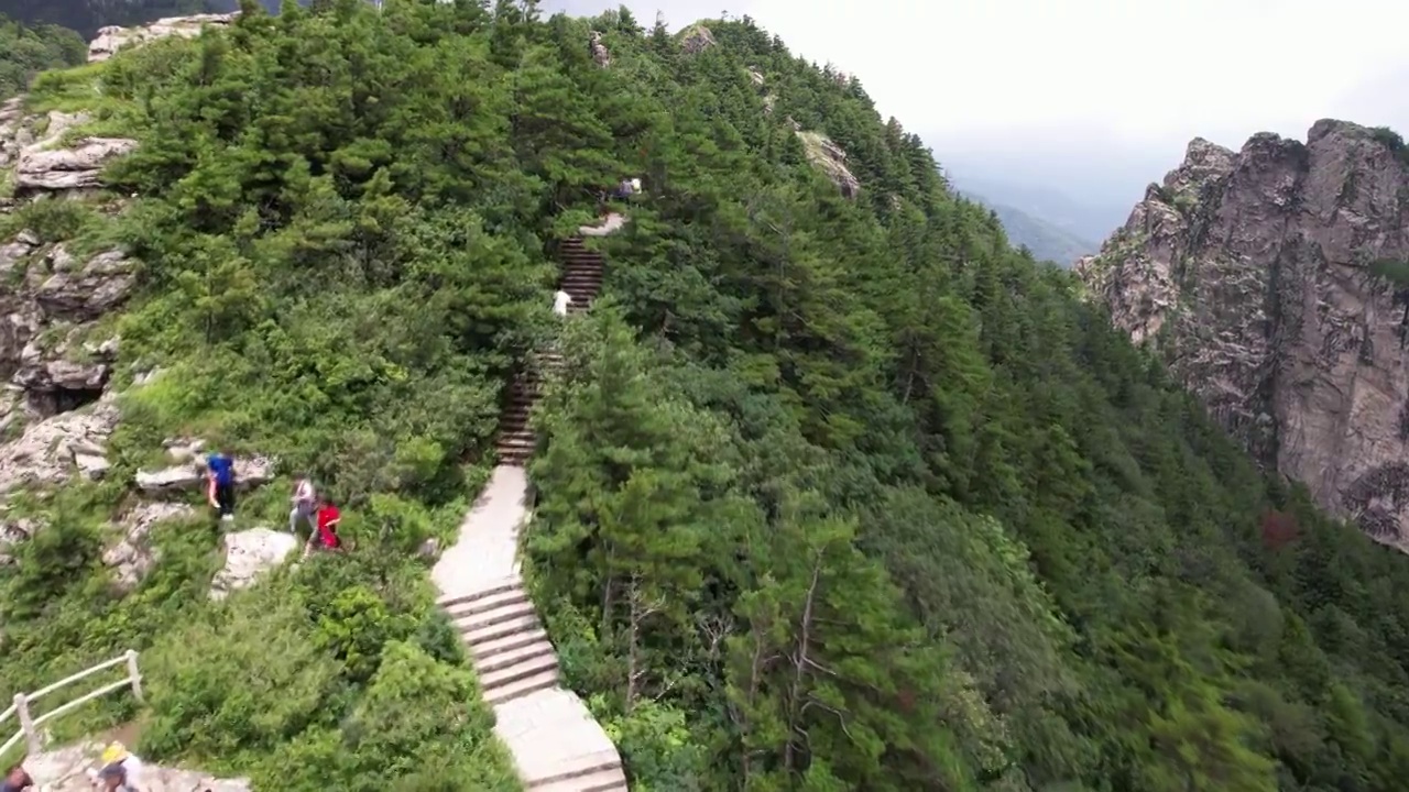 航拍陕西秦岭商洛牛背梁自然风景区视频素材