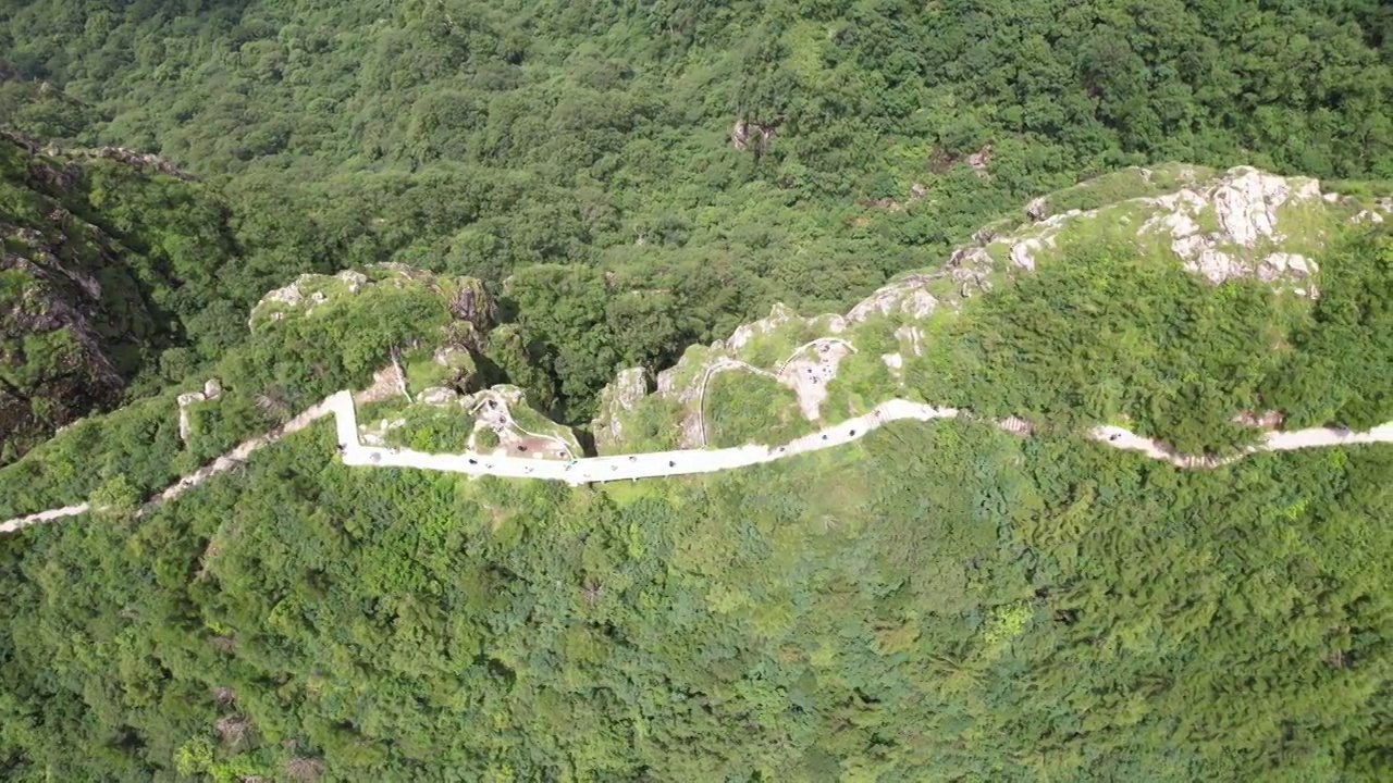 航拍陕西秦岭商洛牛背梁自然风景区视频素材