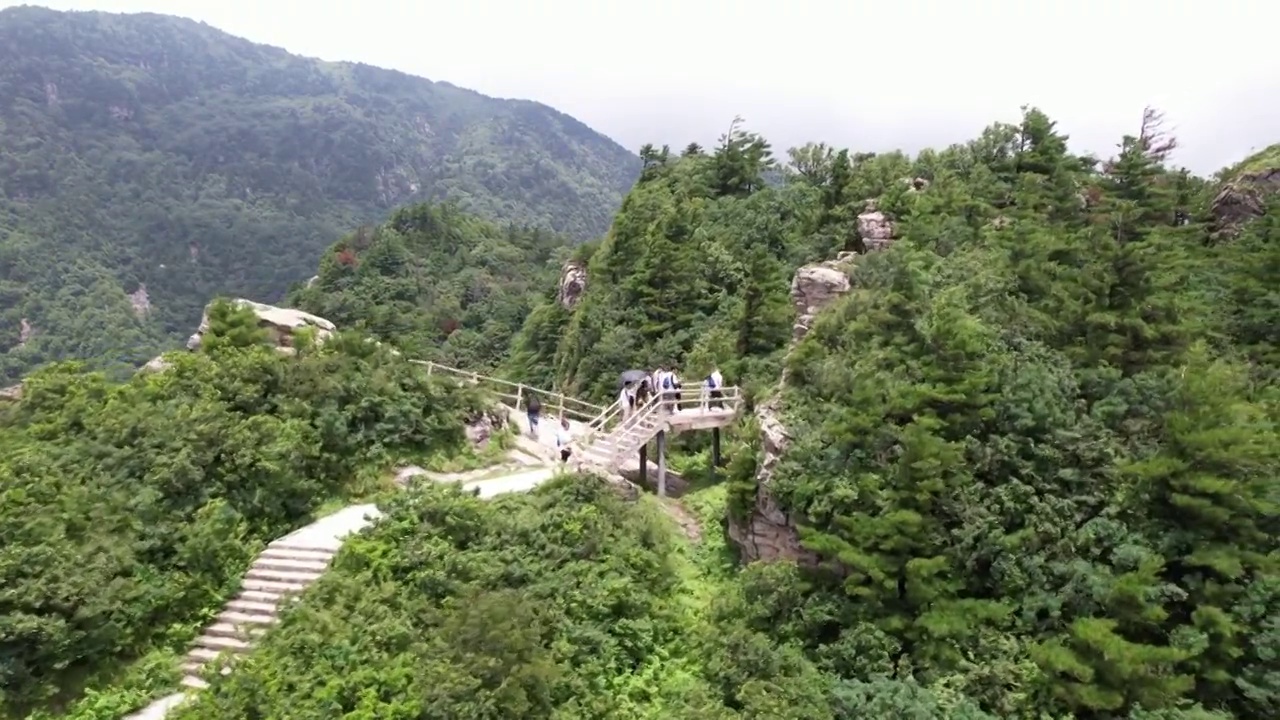 航拍陕西秦岭商洛牛背梁自然风景区视频素材