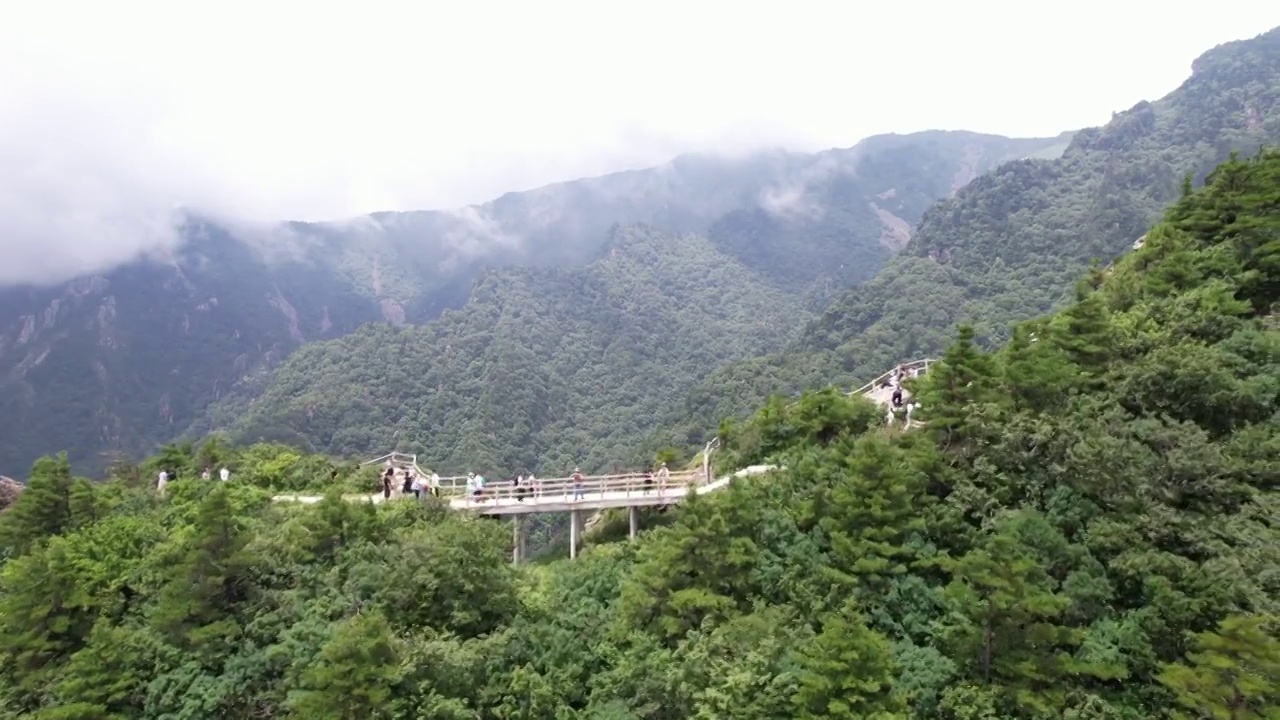 航拍陕西秦岭商洛牛背梁自然风景区视频素材