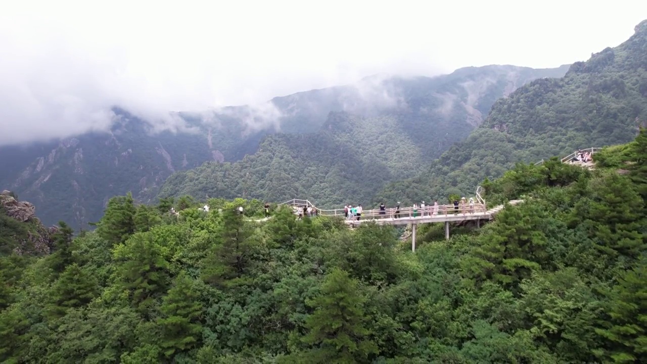 航拍陕西秦岭商洛牛背梁自然风景区视频素材