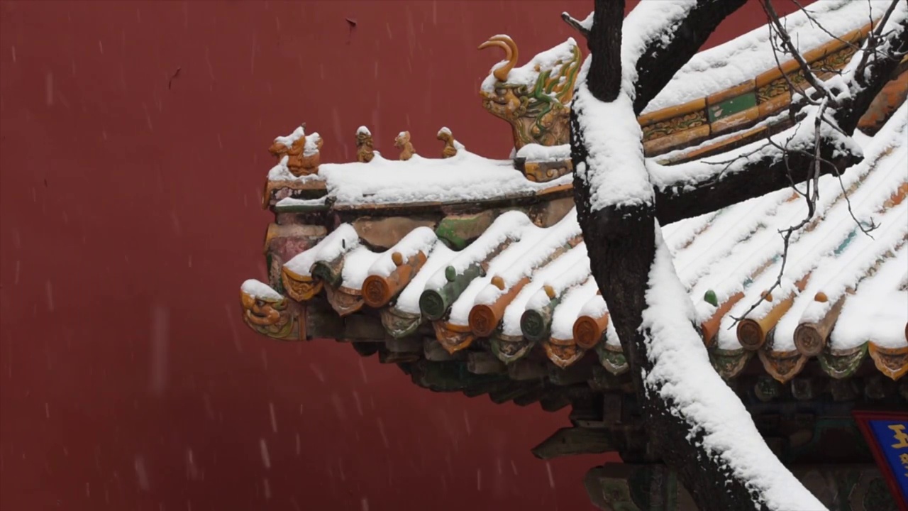 瑞雪故宫紫禁城玉翠亭视频素材