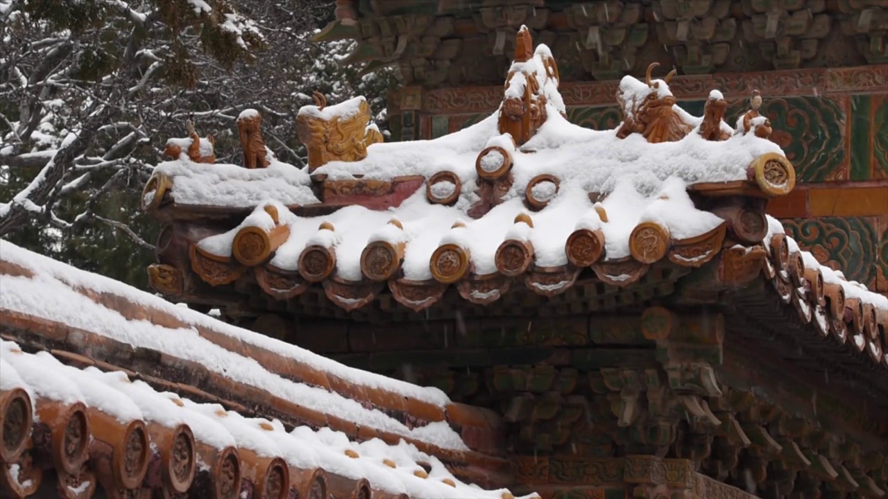 瑞雪故宫紫禁城视频素材