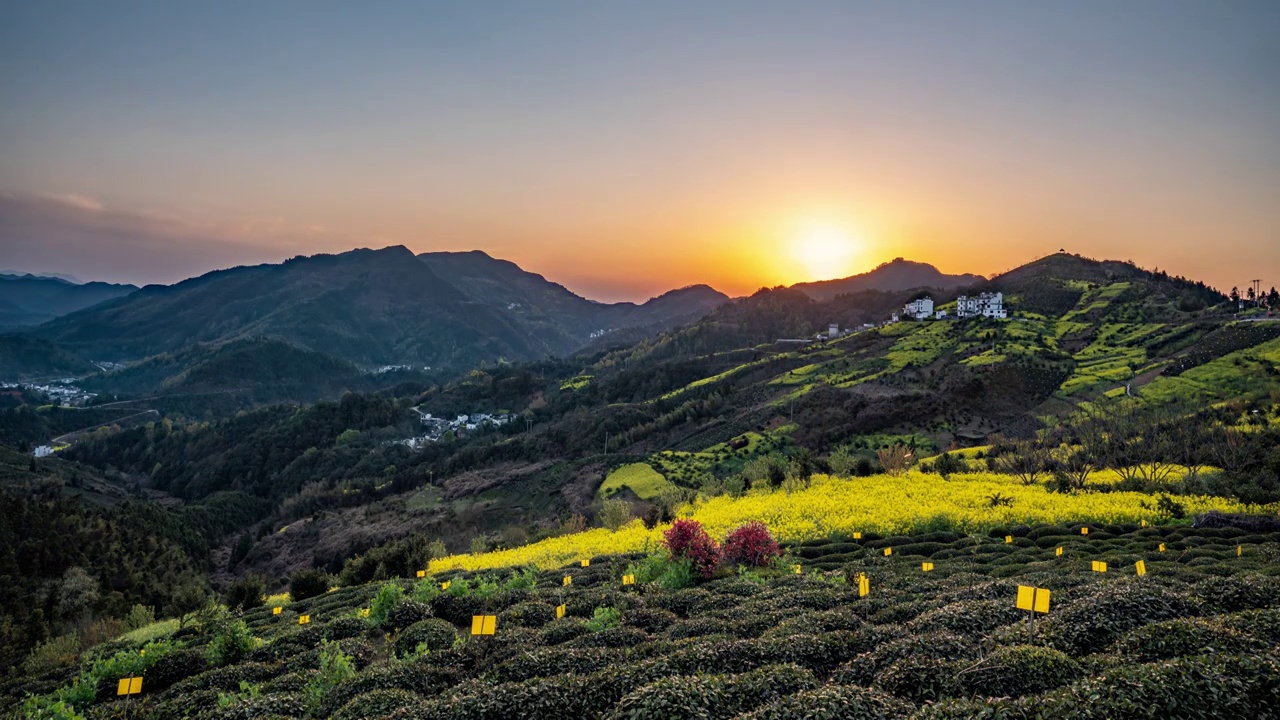 坡山的夕阳视频素材