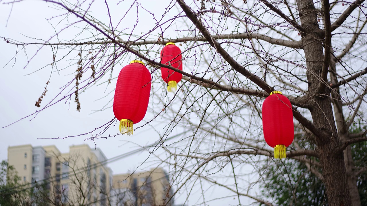 四川绵阳户外红灯笼，安静，平安，吉祥视频素材