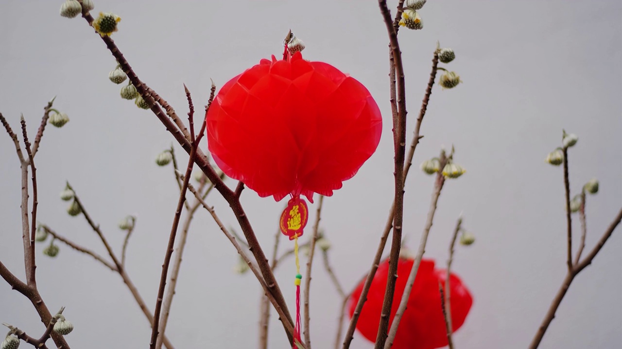 四川绵阳户外红灯笼，安静，平安，吉祥视频素材