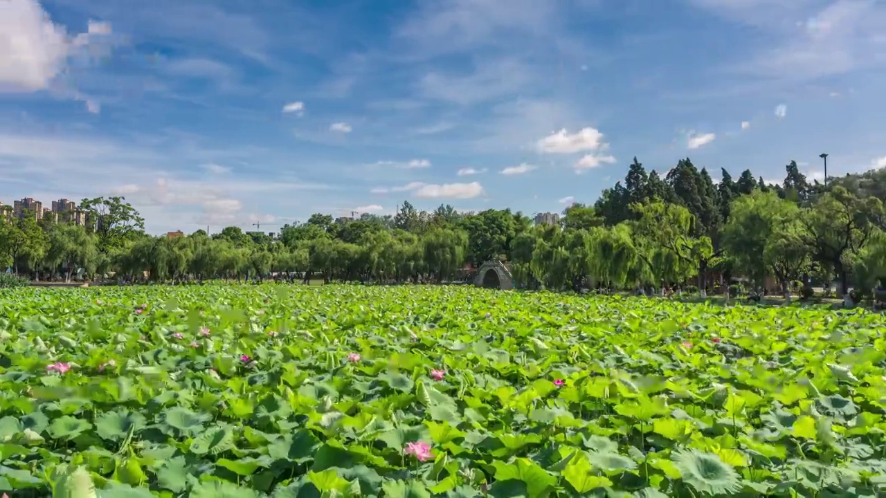 夏天的昆明大观楼延时摄影视频素材