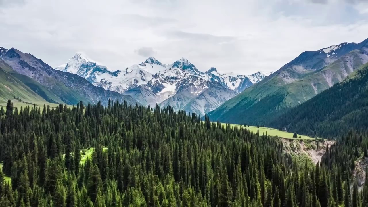 航拍中国新疆绿色的草原和天山山脉风光视频素材