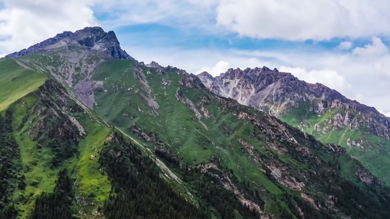 航拍中国新疆绿色的草原和天山山脉风光视频素材