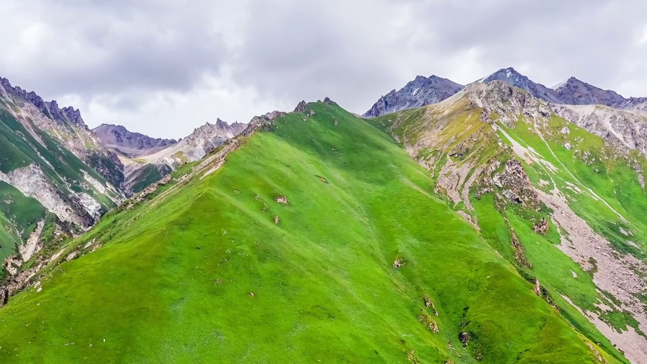 航拍中国新疆绿色的草原和天山山脉风光视频素材