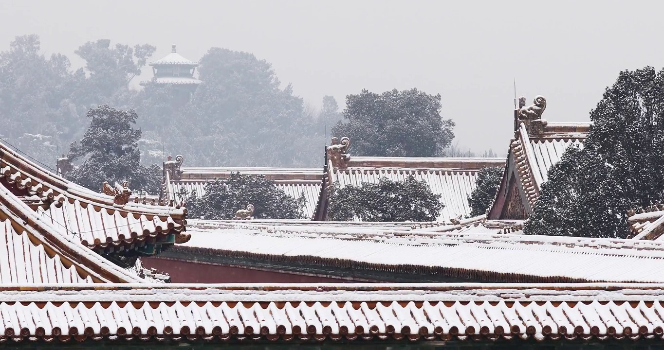 北京故宫雪景，冬天，紫禁城，雪，雪花，白色，宫墙，红墙，立冬，冬至，中国风，淡雅，中国文化，红墙视频素材