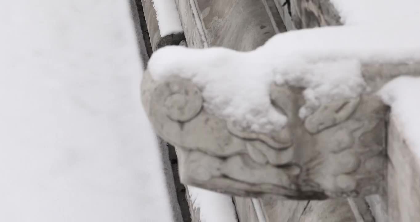 北京故宫雪景，石雕，雕刻，栅栏，雪，雪景，冬天，立冬，二十四节气，白色，龙，大雪，小雪，中国文化视频素材