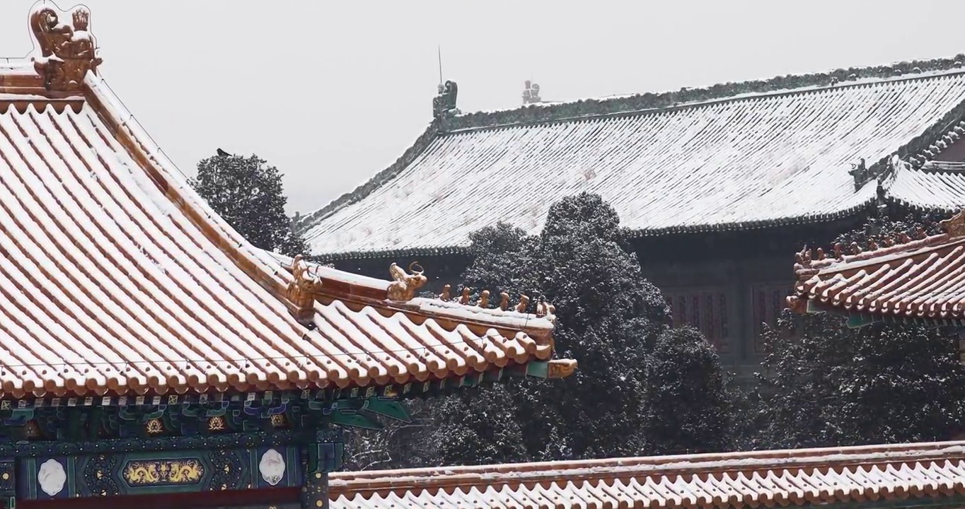 北京故宫雪景，冬天，紫禁城，雪，屋脊，屋檐，红墙，建筑结构，中国元素，大雪，小雪，节气，古建筑，冬景视频素材