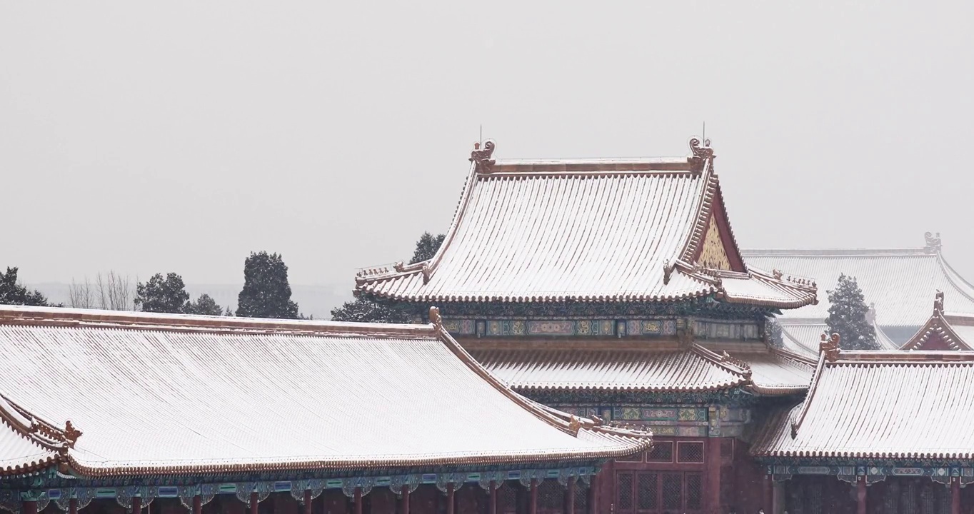 北京故宫雪景，紫禁城，雪，冬景，冬天，中国元素，古建筑，立冬，冬至，大雪，小雪，节气，宫殿，建筑视频素材