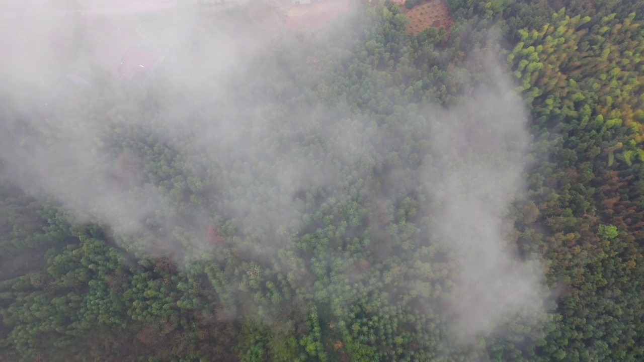 雨后山村新禾村（四）视频素材