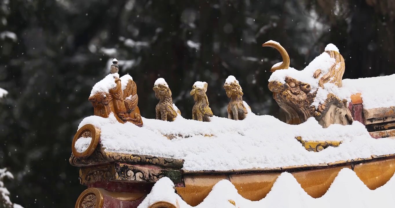 北京故宫雪景，屋脊，特写，中国元素，雪景，冬天，雪，大雪，小雪，立冬，冬至，二十四节气，雕像，中国风视频素材