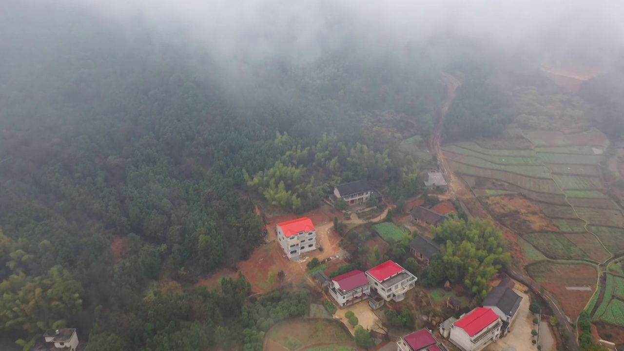 雨后山村新禾村（五）视频素材